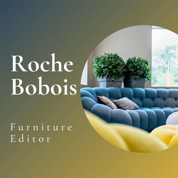 Roche Bobois | History, Iconic Products & Design Philosophy