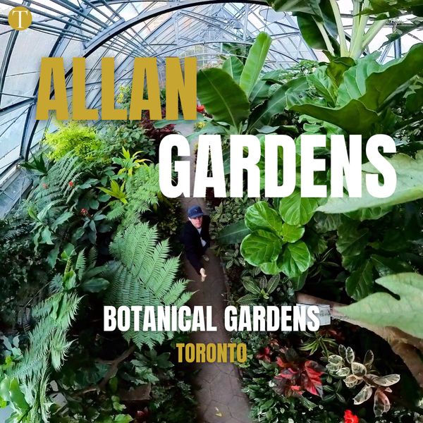 Allan Gardens Conservatory | Botanical Gardens | Toronto